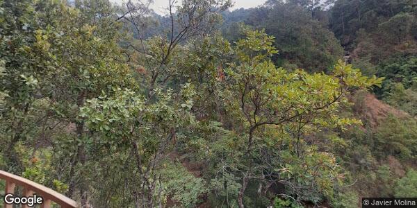 REGIDURÍA DE EDUCACIÓN